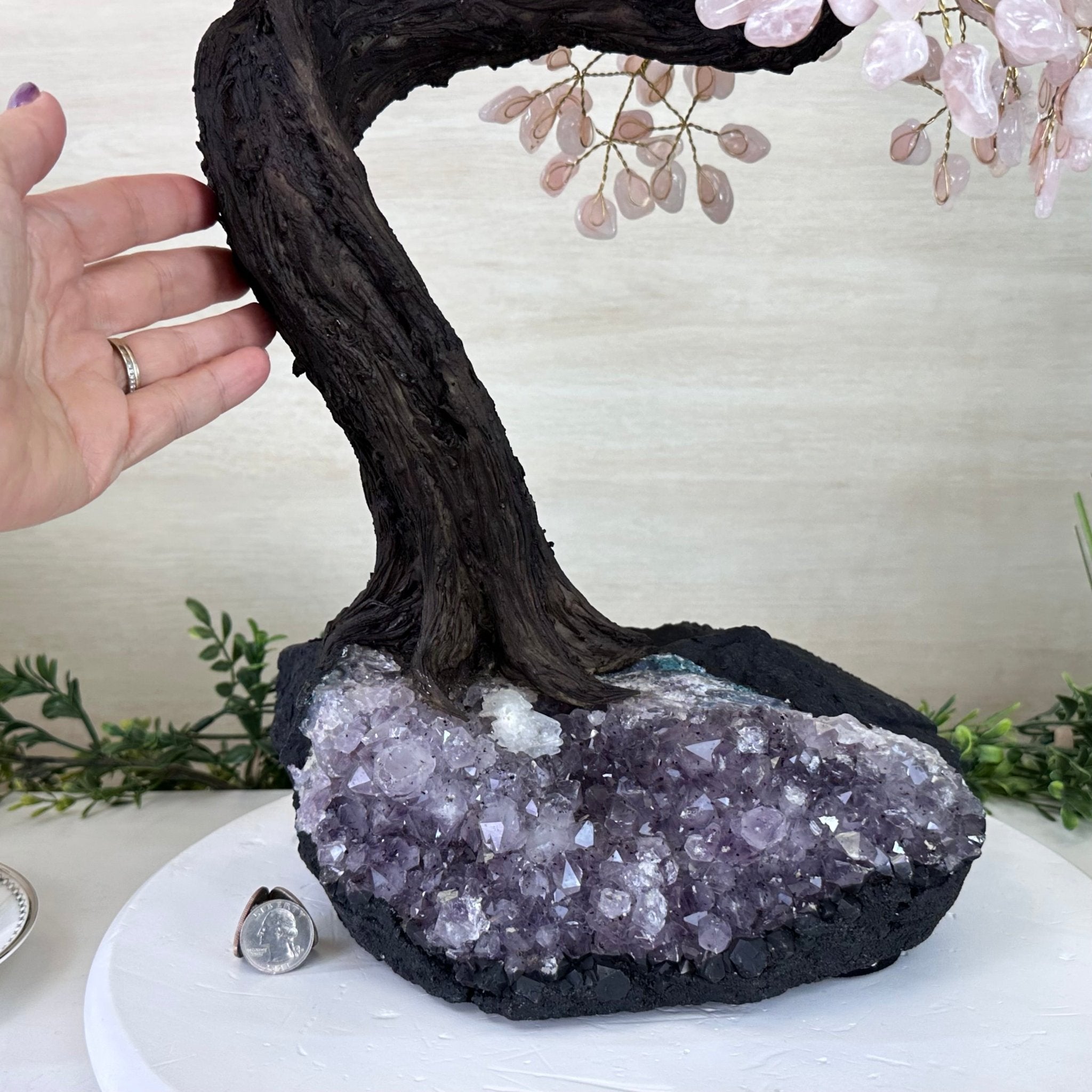 26.7" Tall Large Rose Quartz Gemstone Tree on an Amethyst Base, 720 gems #5407RQ - 015 - Brazil GemsBrazil Gems26.7" Tall Large Rose Quartz Gemstone Tree on an Amethyst Base, 720 gems #5407RQ - 015Gemstone Trees5407RQ - 015