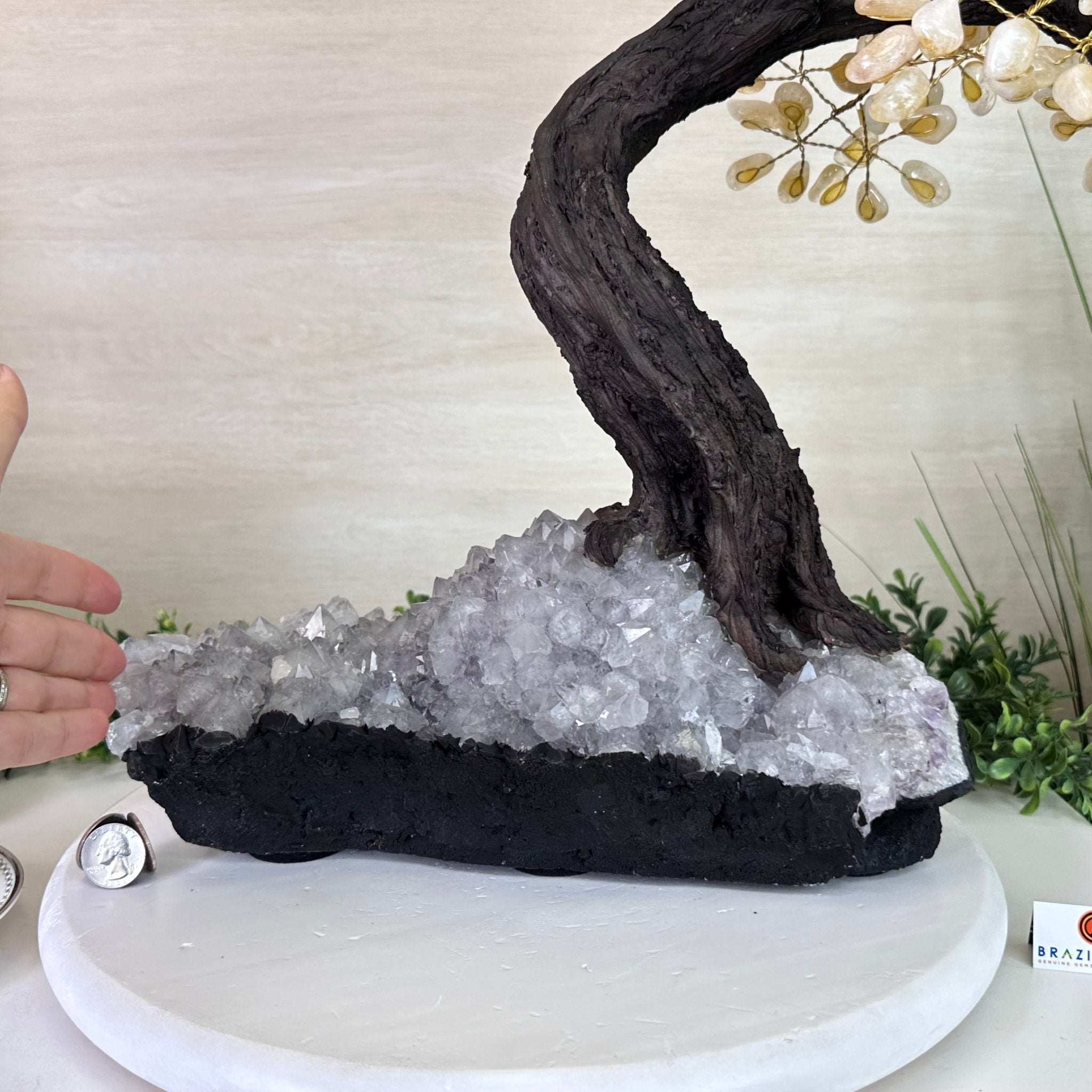 27.5" Tall Large Citrine Gemstone Tree on an Amethyst Base, 720 gems #5407CI - 015 - Brazil GemsBrazil Gems27.5" Tall Large Citrine Gemstone Tree on an Amethyst Base, 720 gems #5407CI - 015Gemstone Trees5407CI - 015