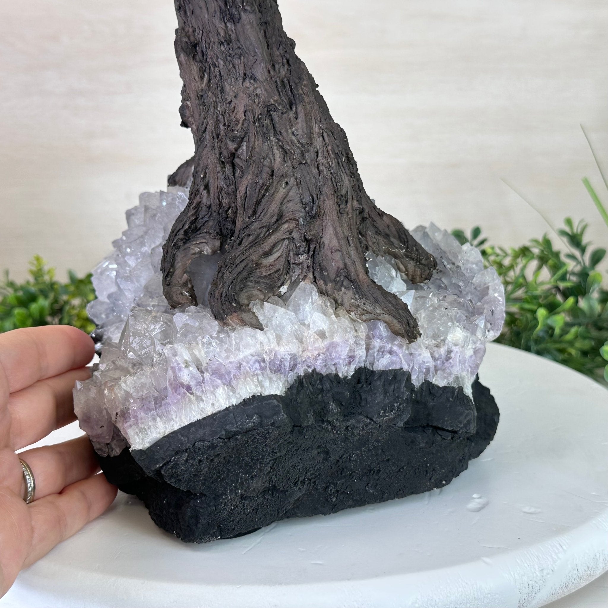 27.5" Tall Large Citrine Gemstone Tree on an Amethyst Base, 720 gems #5407CI - 015 - Brazil GemsBrazil Gems27.5" Tall Large Citrine Gemstone Tree on an Amethyst Base, 720 gems #5407CI - 015Gemstone Trees5407CI - 015