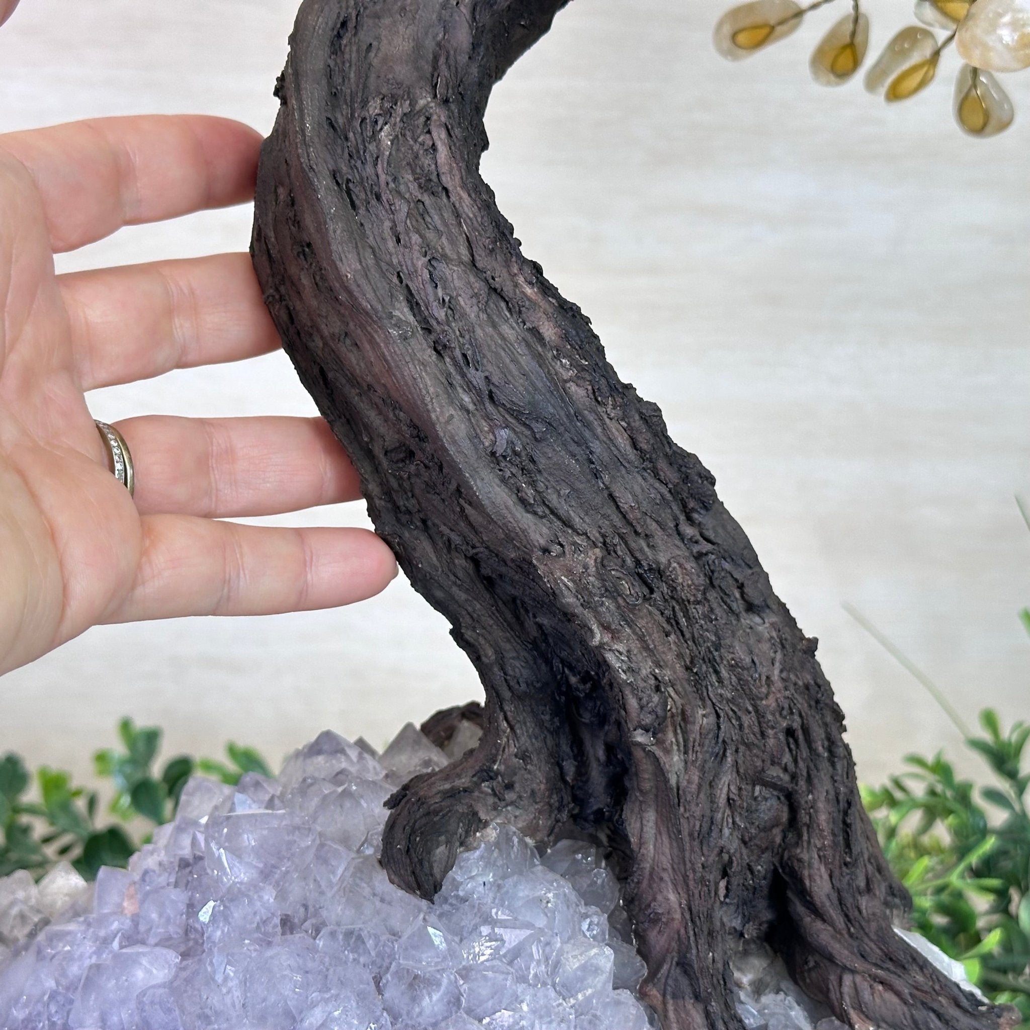 27.5" Tall Large Citrine Gemstone Tree on an Amethyst Base, 720 gems #5407CI - 015 - Brazil GemsBrazil Gems27.5" Tall Large Citrine Gemstone Tree on an Amethyst Base, 720 gems #5407CI - 015Gemstone Trees5407CI - 015