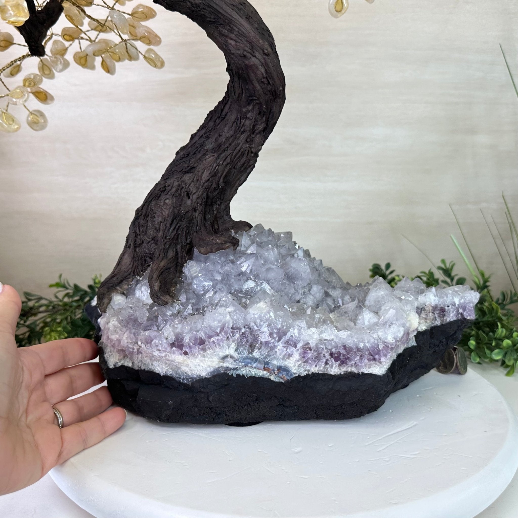 27.5" Tall Large Citrine Gemstone Tree on an Amethyst Base, 720 gems #5407CI - 015 - Brazil GemsBrazil Gems27.5" Tall Large Citrine Gemstone Tree on an Amethyst Base, 720 gems #5407CI - 015Gemstone Trees5407CI - 015