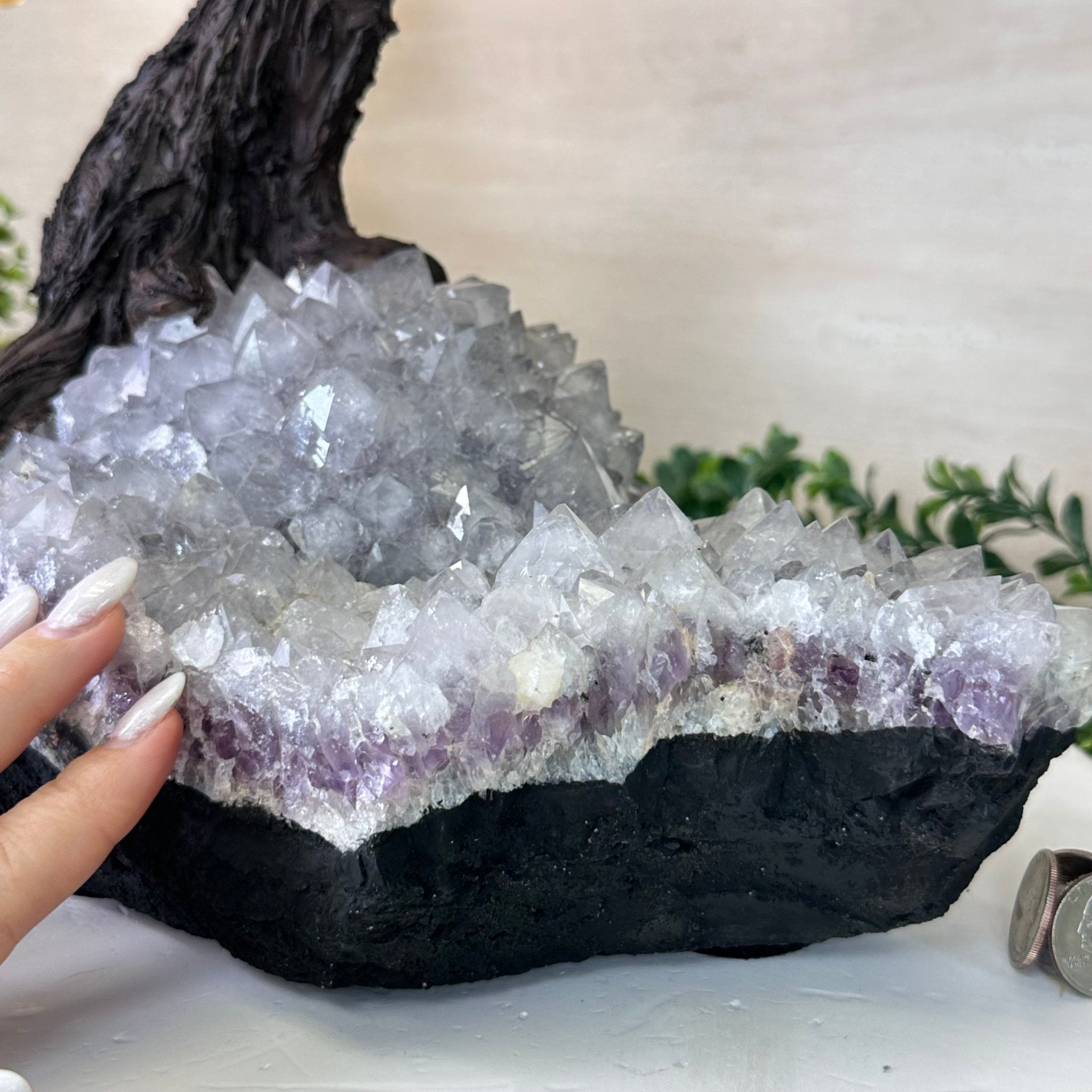 27.5" Tall Large Citrine Gemstone Tree on an Amethyst Base, 720 gems #5407CI - 015 - Brazil GemsBrazil Gems27.5" Tall Large Citrine Gemstone Tree on an Amethyst Base, 720 gems #5407CI - 015Gemstone Trees5407CI - 015