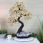 27.5" Tall Large Citrine Gemstone Tree on an Amethyst Base, 720 gems #5407CI - 015 - Brazil GemsBrazil Gems27.5" Tall Large Citrine Gemstone Tree on an Amethyst Base, 720 gems #5407CI - 015Gemstone Trees5407CI - 015