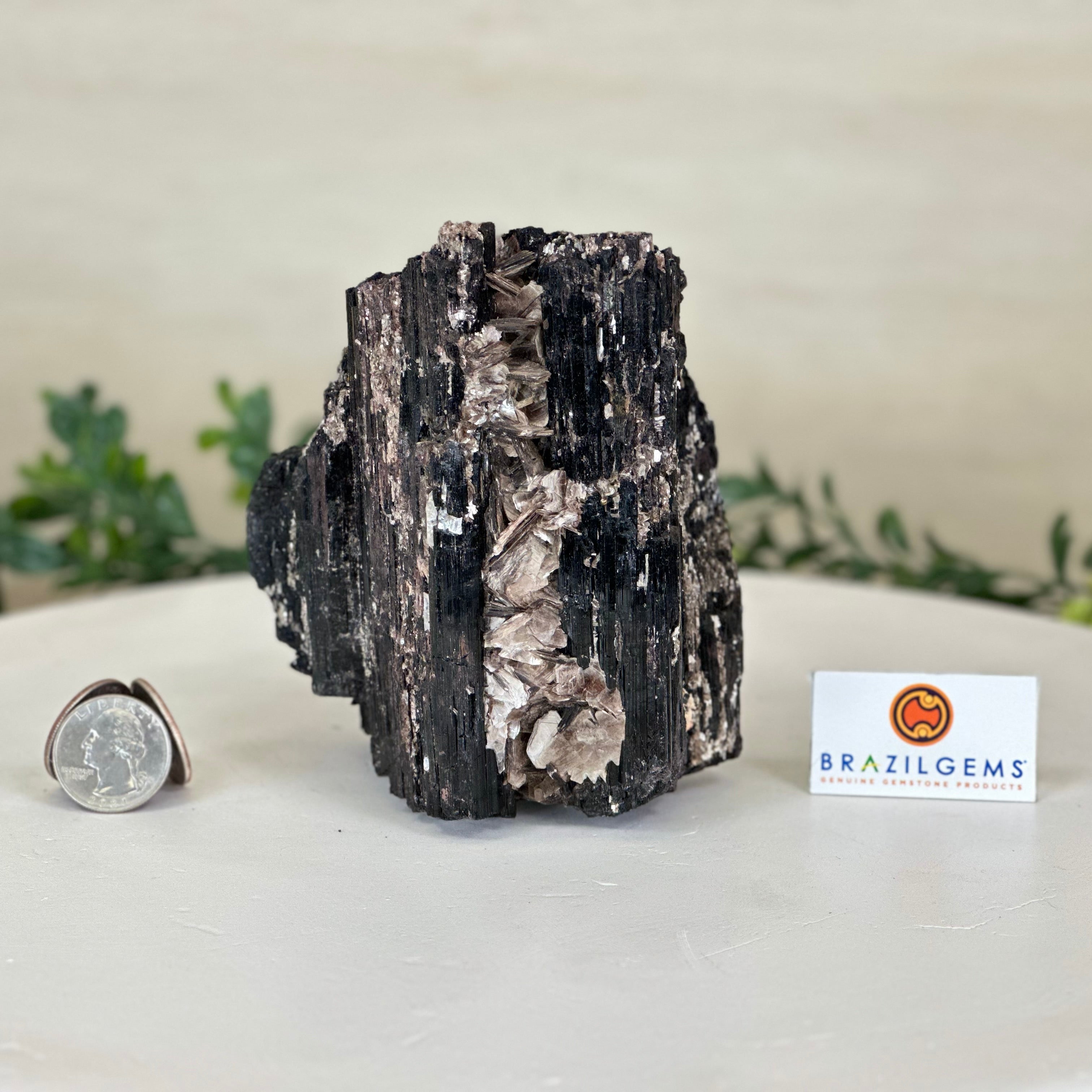 Black Tourmaline Cluster #3302BT-038 by Brazil Gems®