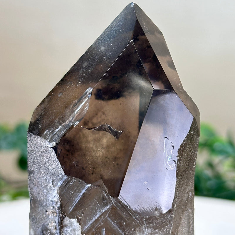 Smoky Quartz