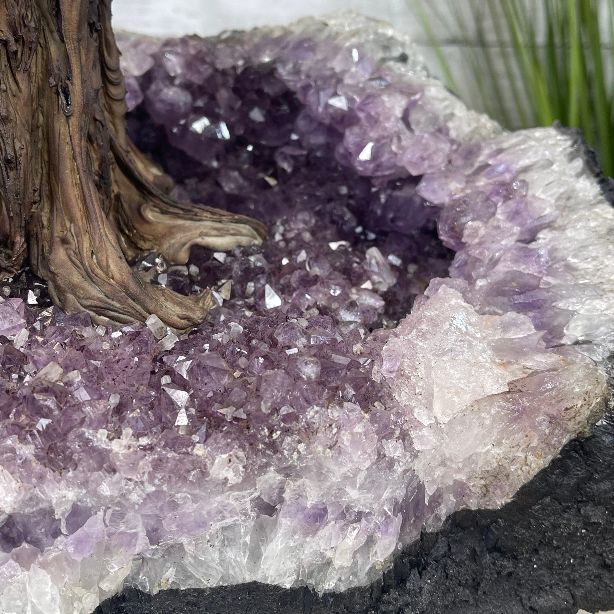 Special Amethyst & Rose Quartz Gemstone Tree Model #5440AMRQ
