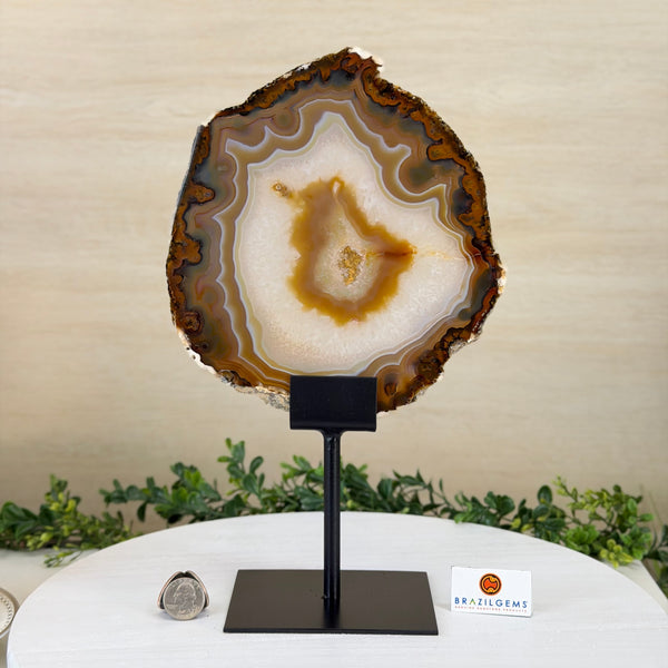 Natural Agate <br>Slices