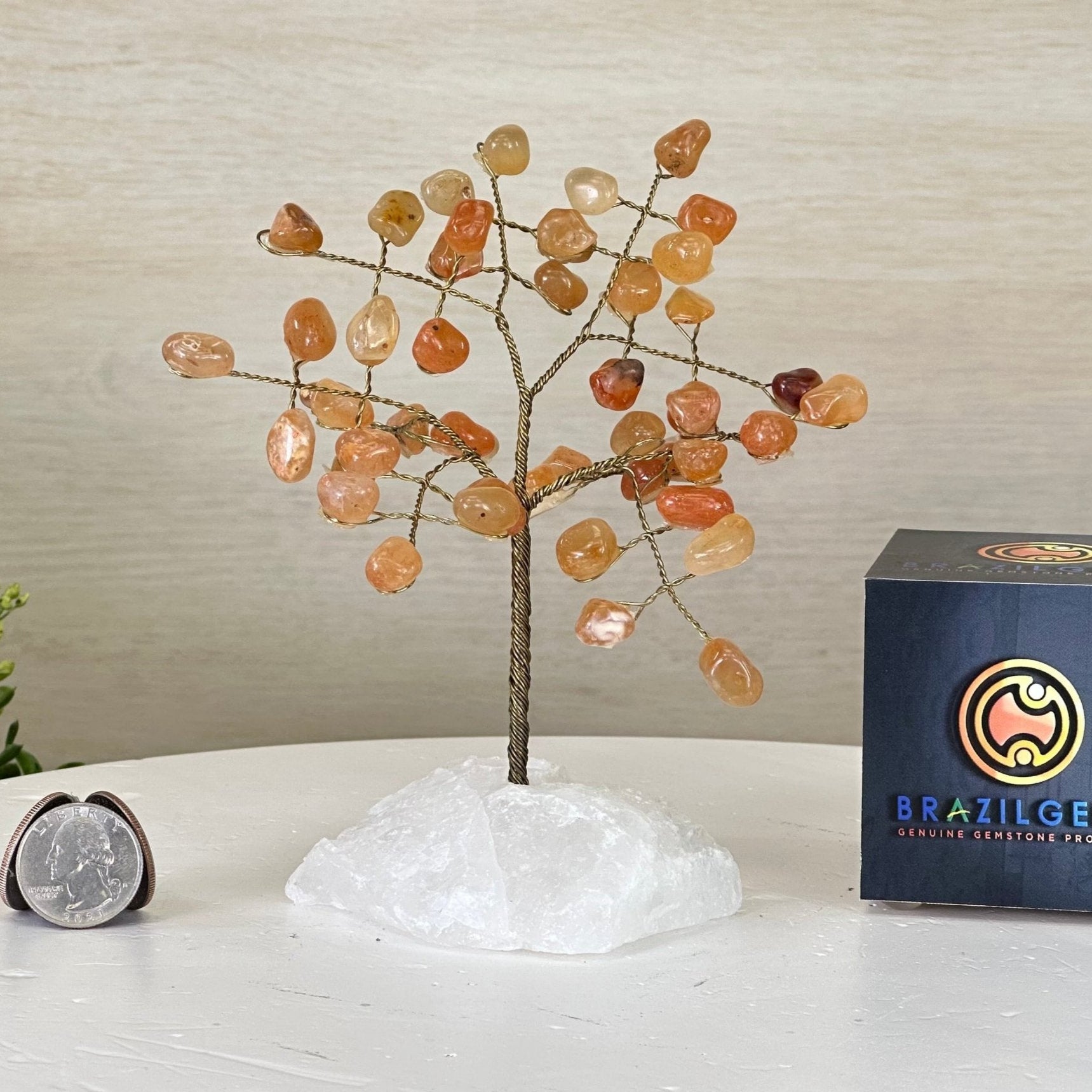 6" Tall Carnelian Handmade Wire Gem Tree with Quartz base, 50 Gems #5310CAMQ - Brazil GemsBrazil Gems6" Tall Carnelian Handmade Wire Gem Tree with Quartz base, 50 Gems #5310CAMQGemstone Trees5310CAMQ