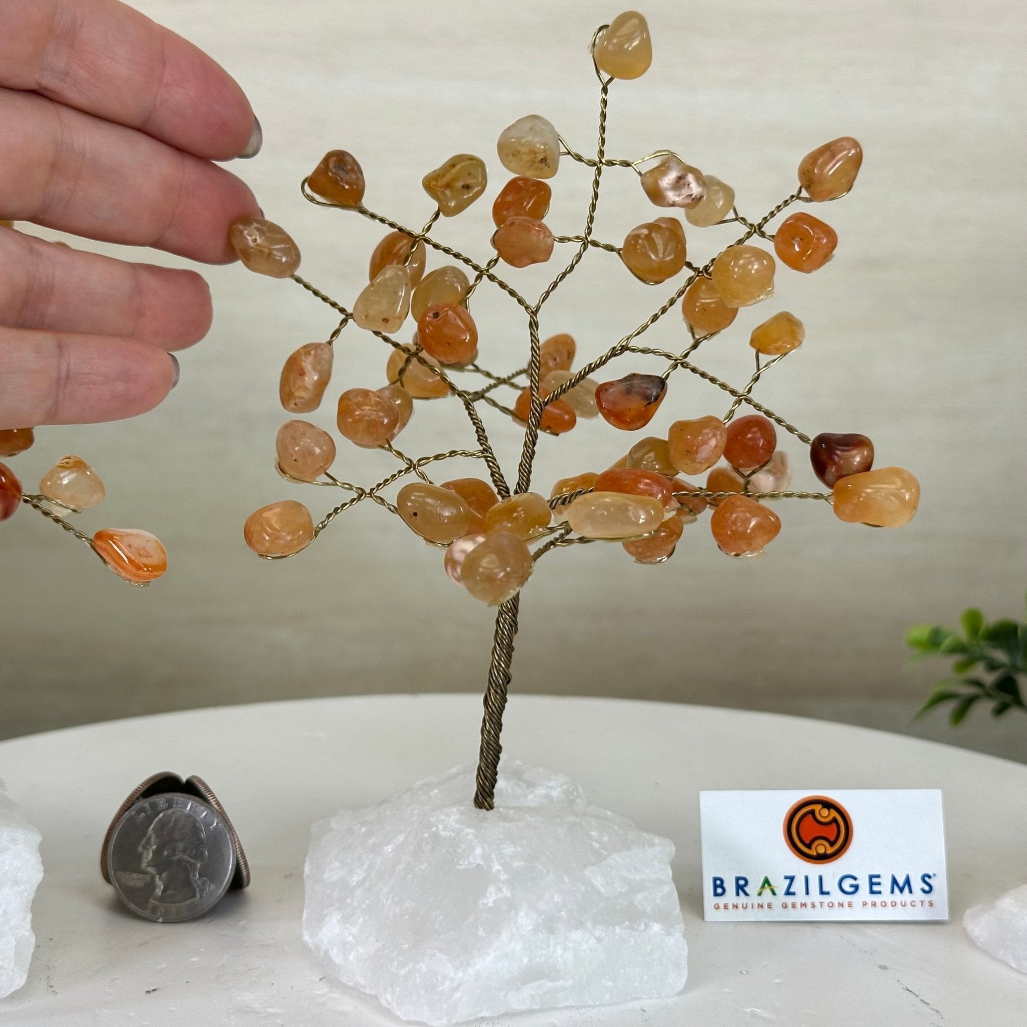 6" Tall Carnelian Handmade Wire Gem Tree with Quartz base, 50 Gems #5310CAMQ - Brazil GemsBrazil Gems6" Tall Carnelian Handmade Wire Gem Tree with Quartz base, 50 Gems #5310CAMQGemstone Trees5310CAMQ