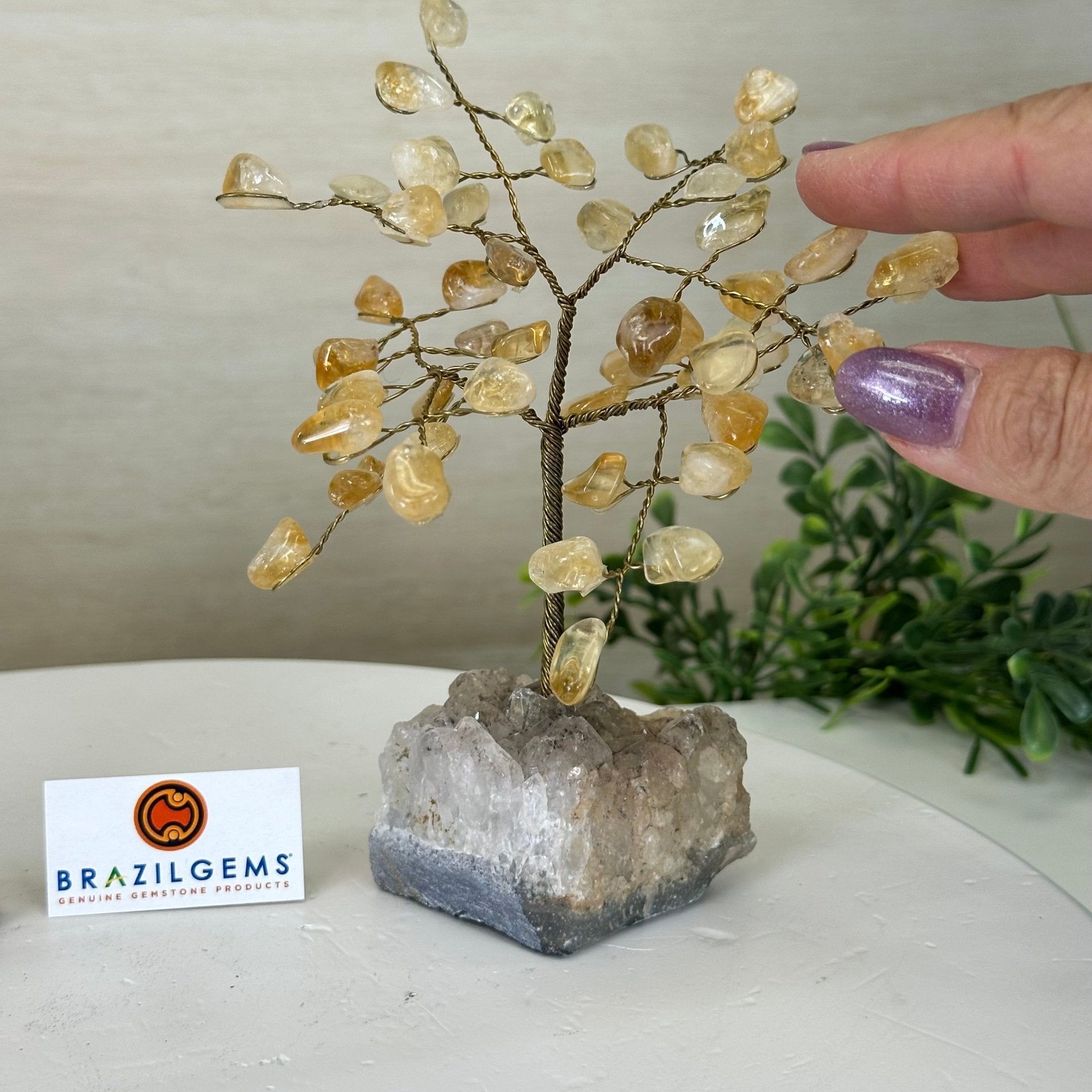 6" Tall Citrine Handmade Wire Gem Tree with Crystal base, 50 Gems #5310CIAM - Brazil GemsBrazil Gems6" Tall Citrine Handmade Wire Gem Tree with Crystal base, 50 Gems #5310CIAMGemstone Trees5310CIAM