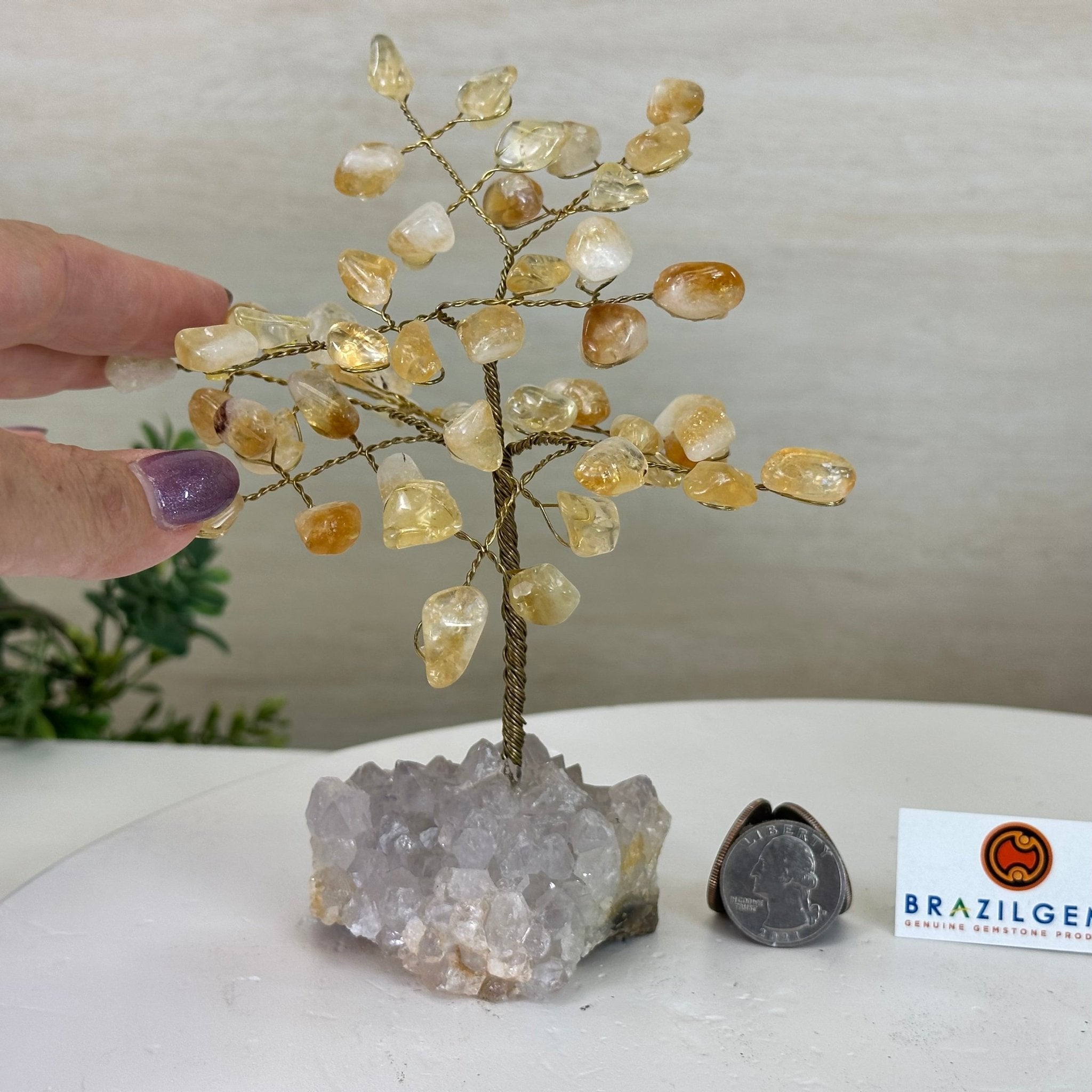 6" Tall Citrine Handmade Wire Gem Tree with Crystal base, 50 Gems #5310CIAM - Brazil GemsBrazil Gems6" Tall Citrine Handmade Wire Gem Tree with Crystal base, 50 Gems #5310CIAMGemstone Trees5310CIAM