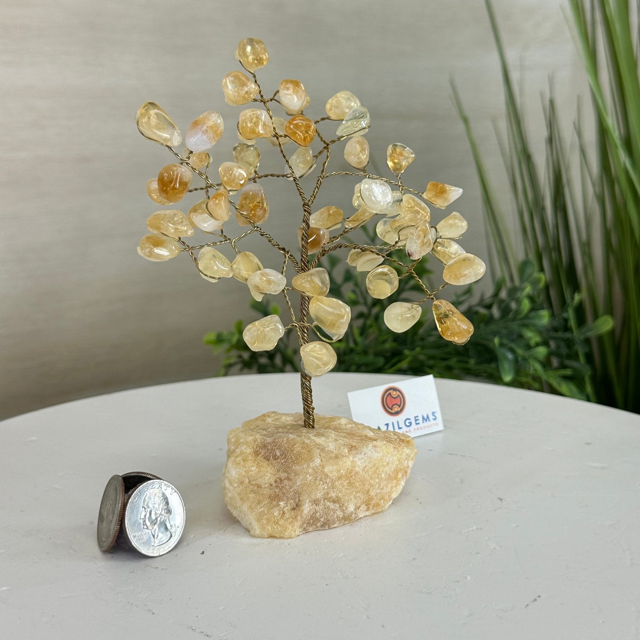 6" Tall Citrine Handmade Wire Gem Tree with Orange Calcite base, 50 Gems #5310CIOR - Brazil GemsBrazil Gems6" Tall Citrine Handmade Wire Gem Tree with Orange Calcite base, 50 Gems #5310CIORGemstone Trees5310CIOR