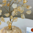 6" Tall Citrine Handmade Wire Gem Tree with Orange Calcite base, 50 Gems #5310CIOR - Brazil GemsBrazil Gems6" Tall Citrine Handmade Wire Gem Tree with Orange Calcite base, 50 Gems #5310CIORGemstone Trees5310CIOR