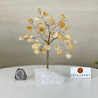 6" Tall Citrine Handmade Wire Gem Tree with Quartz base, 50 Gems #5310CIMQ - Brazil GemsBrazil Gems6" Tall Citrine Handmade Wire Gem Tree with Quartz base, 50 Gems #5310CIMQGemstone Trees5310CIMQ