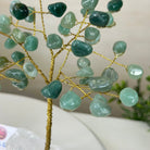 6" Tall Green Quartz Handmade Wire Gem Tree with Quartz base, 50 Gems #5310GQCQ - Brazil GemsBrazil Gems6" Tall Green Quartz Handmade Wire Gem Tree with Quartz base, 50 Gems #5310GQCQGemstone Trees5310GQCQ