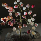 6" Tall Pink Agate Handmade Wire Gem Tree with Crystal base, 50 Gems #5310PAAM - Brazil GemsBrazil Gems6" Tall Pink Agate Handmade Wire Gem Tree with Crystal base, 50 Gems #5310PAAMGemstone Trees5310PAAM