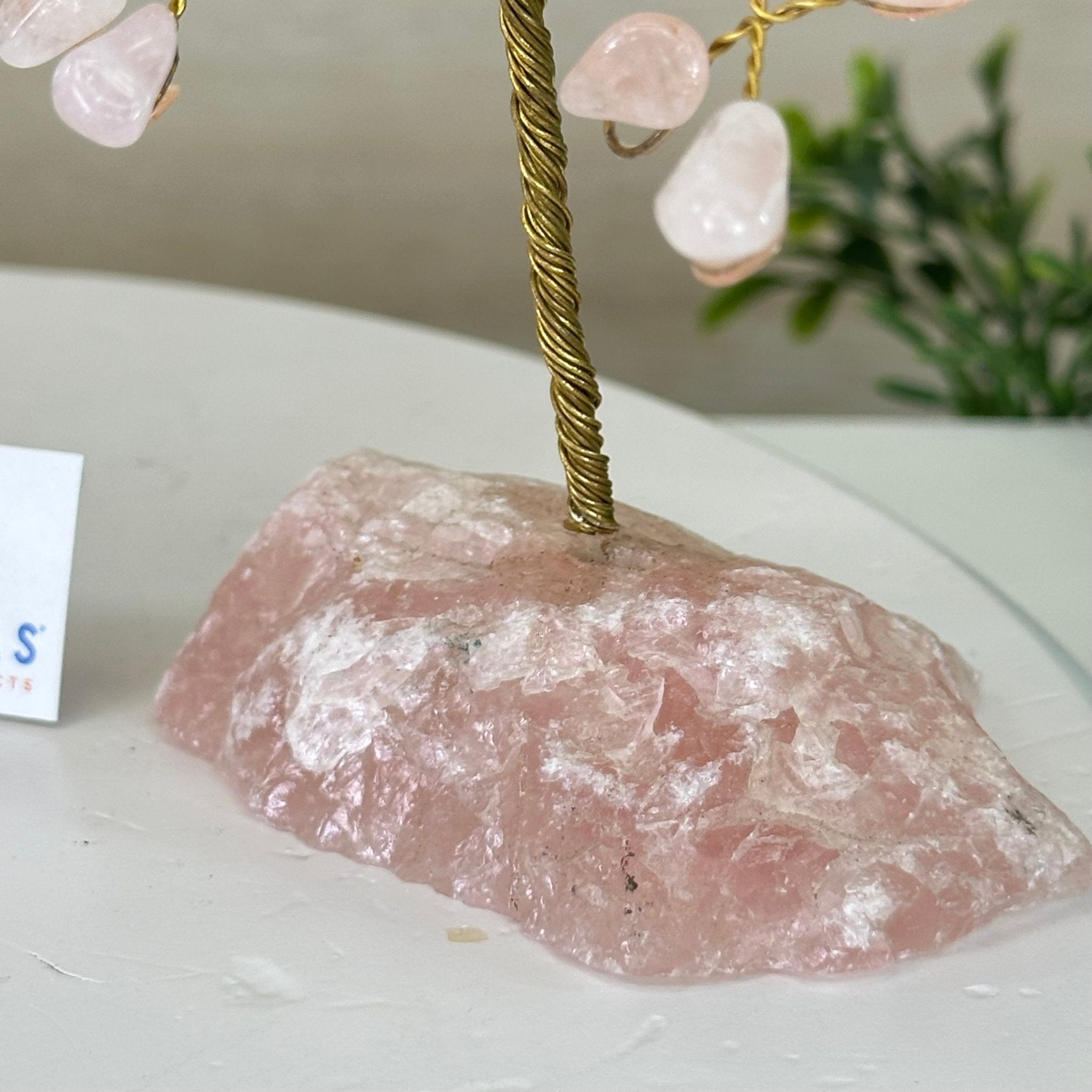 6" Tall Rose Quartz Handmade Wire Gem Tree with Rose Quartz base, 50 Gems #5310RQRQ - Brazil GemsBrazil Gems6" Tall Rose Quartz Handmade Wire Gem Tree with Rose Quartz base, 50 Gems #5310RQRQGemstone Trees5310RQRQ