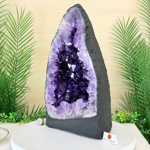 Amethyst Cathedrals