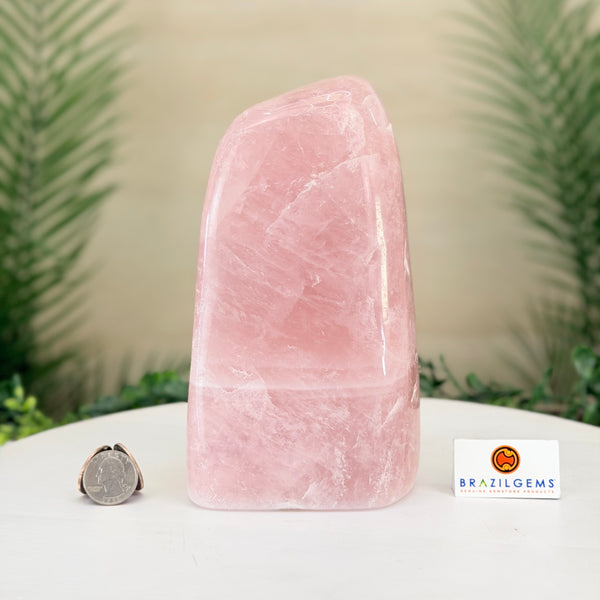 Rose Quartz Freeform & Unique