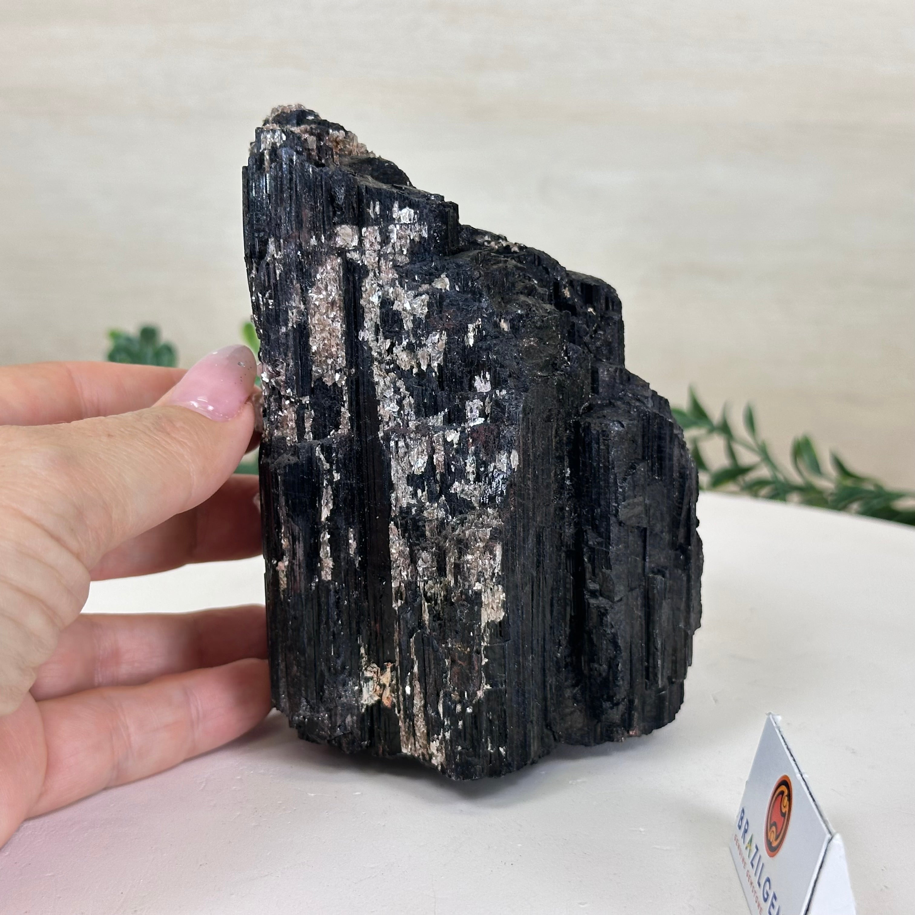Black Tourmaline Cluster #3302BT-038 by Brazil Gems®