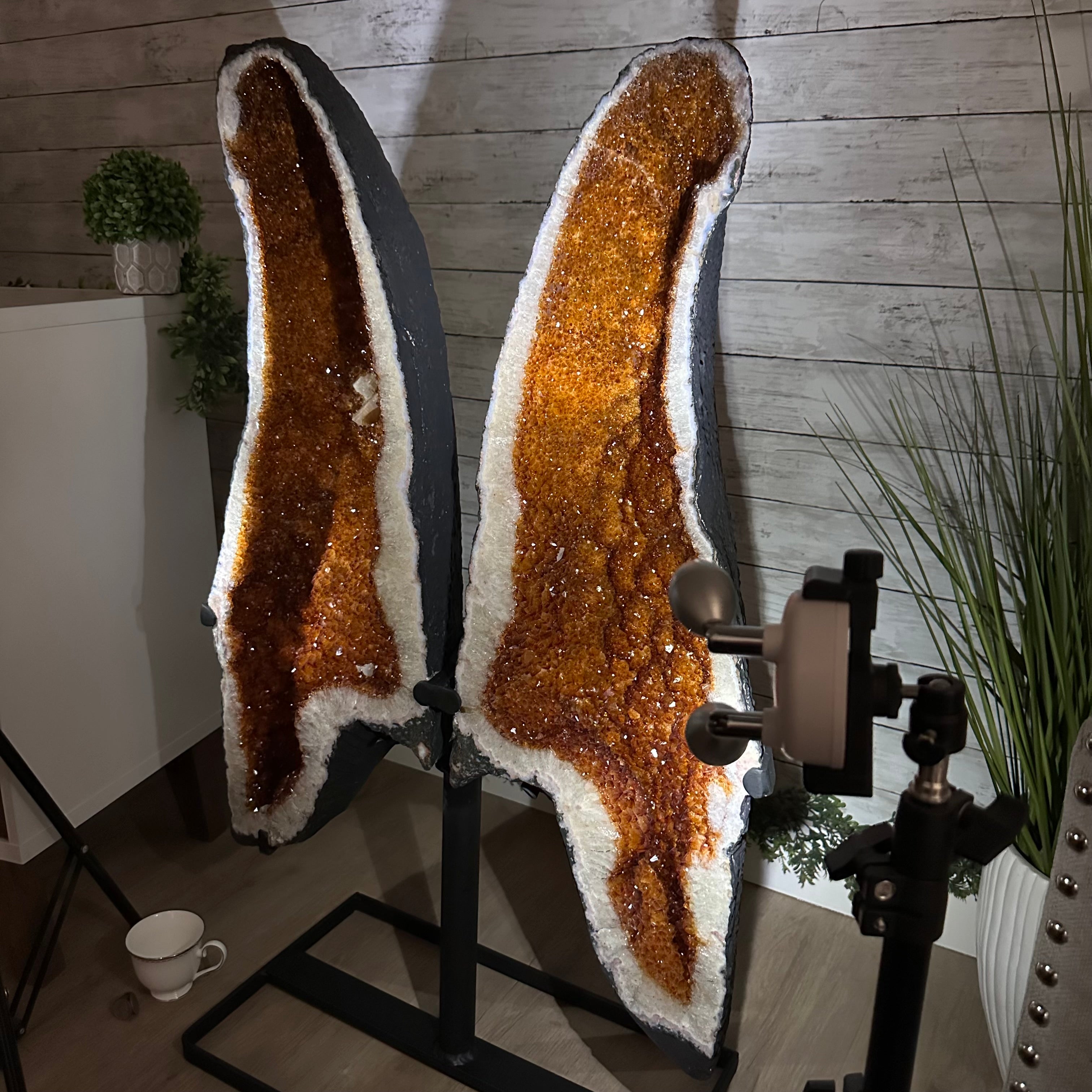 Quality Citrine Butterfly Wings, Metal Stand, 152 lbs & 40.5" Tall #5498 - 0008 - Brazil GemsBrazil GemsQuality Citrine Butterfly Wings, Metal Stand, 152 lbs & 40.5" Tall #5498 - 0008Citrine Butterfly Wings5498 - 0008