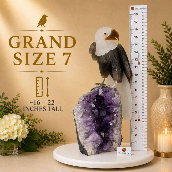Grand Size 7