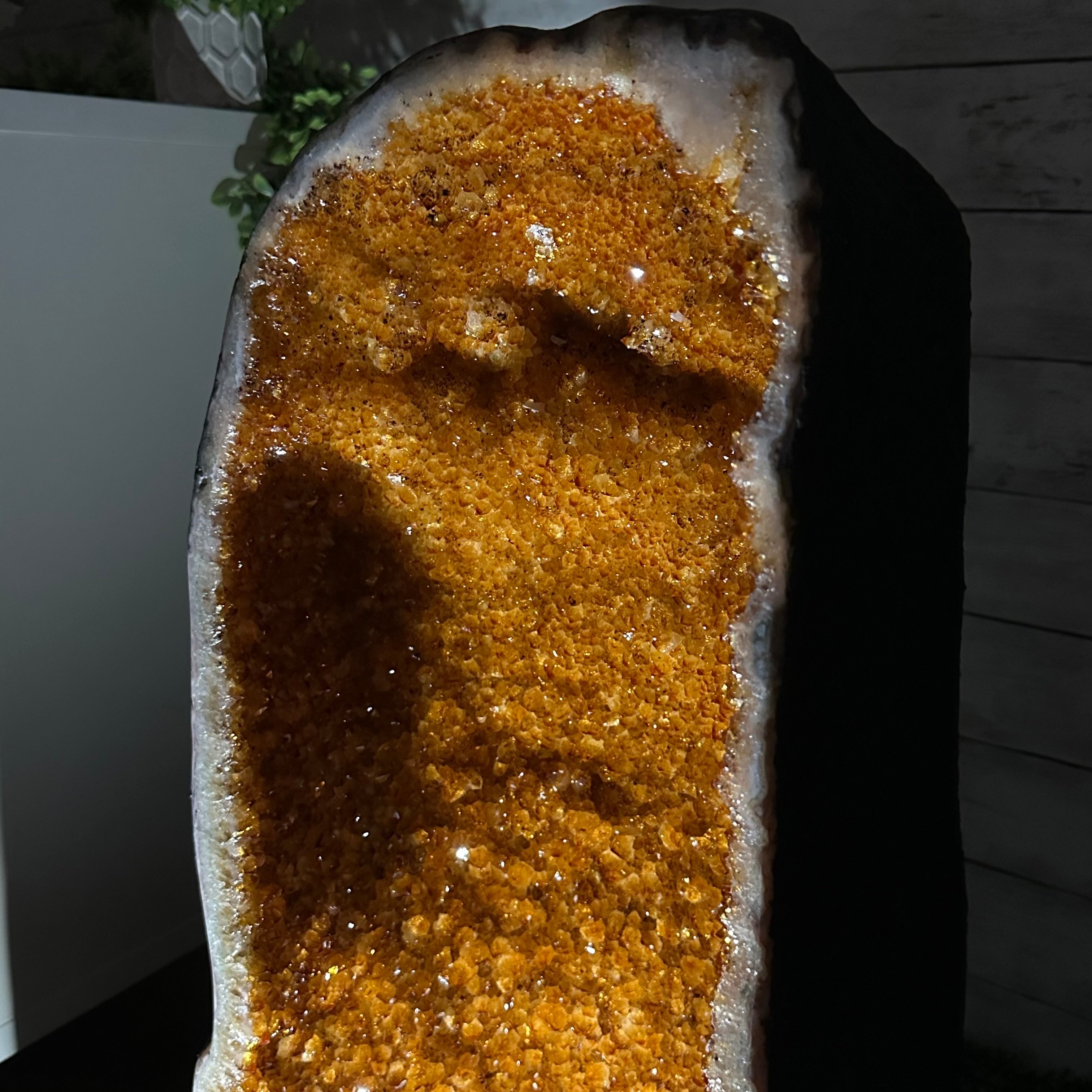 Extra Plus Quality Citrine Cathedral, 127.9 lbs & 30.9" Tall #5603-0310 - Brazil GemsBrazil GemsExtra Plus Quality Citrine Cathedral, 127.9 lbs & 30.9" Tall #5603-0310Cathedrals5603-0310