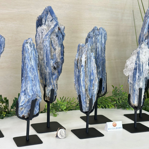 Kyanite Clusters