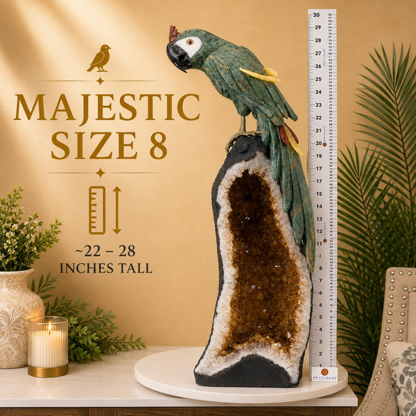 Majestic Size 8
