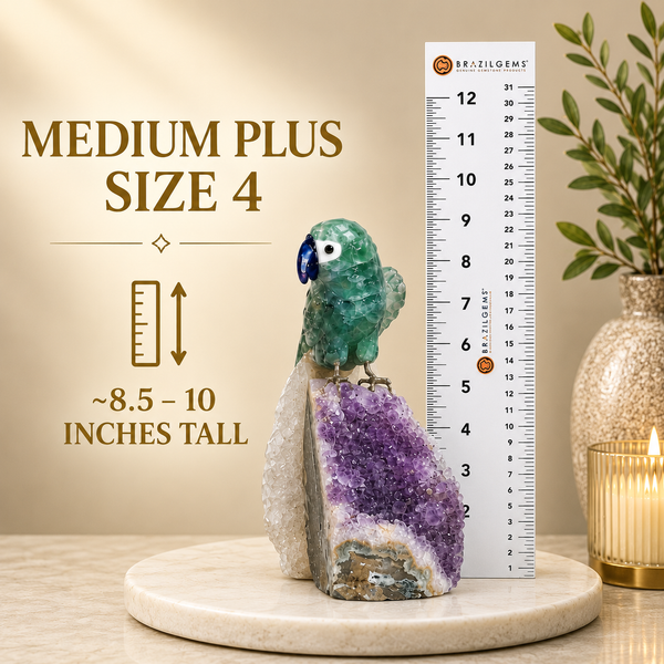 Med. Plus Size 4