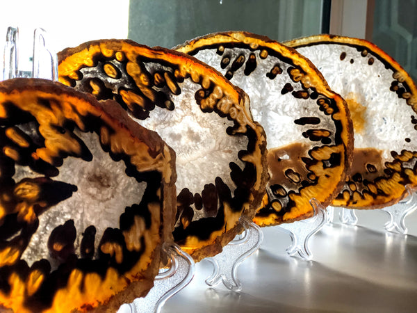 Agate Slices