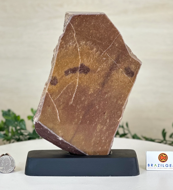 Brown Jasper Slices