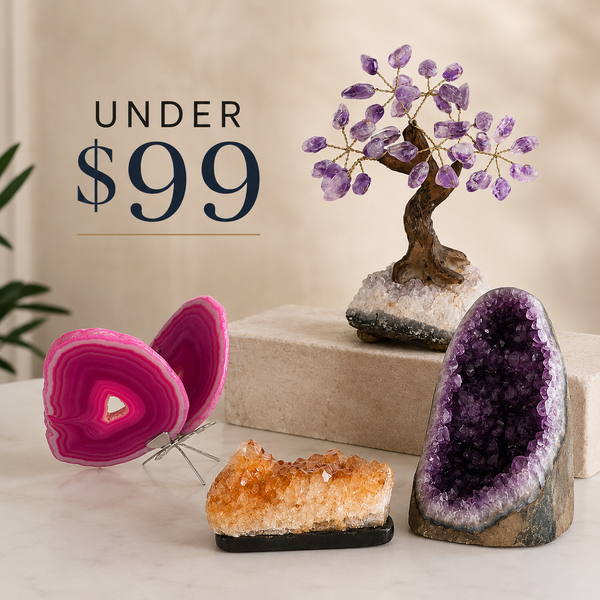 Shop Under $99