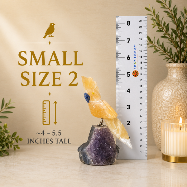 Small Size 2