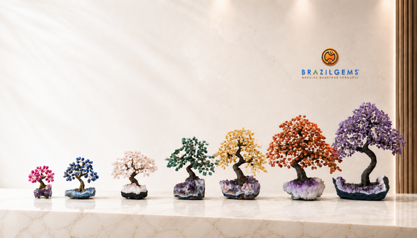 Shop By Tree Size & Style