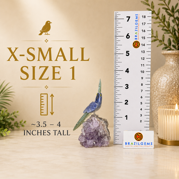 X-Small Size 1