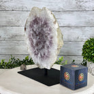 Amethyst Cluster on a Metal Base, 10.6 lbs & 10.8" Tall, #5491 - 0185 - Brazil GemsBrazil GemsAmethyst Cluster on a Metal Base, 10.6 lbs & 10.8" Tall, #5491 - 0185Clusters on Fixed Bases5491 - 0185