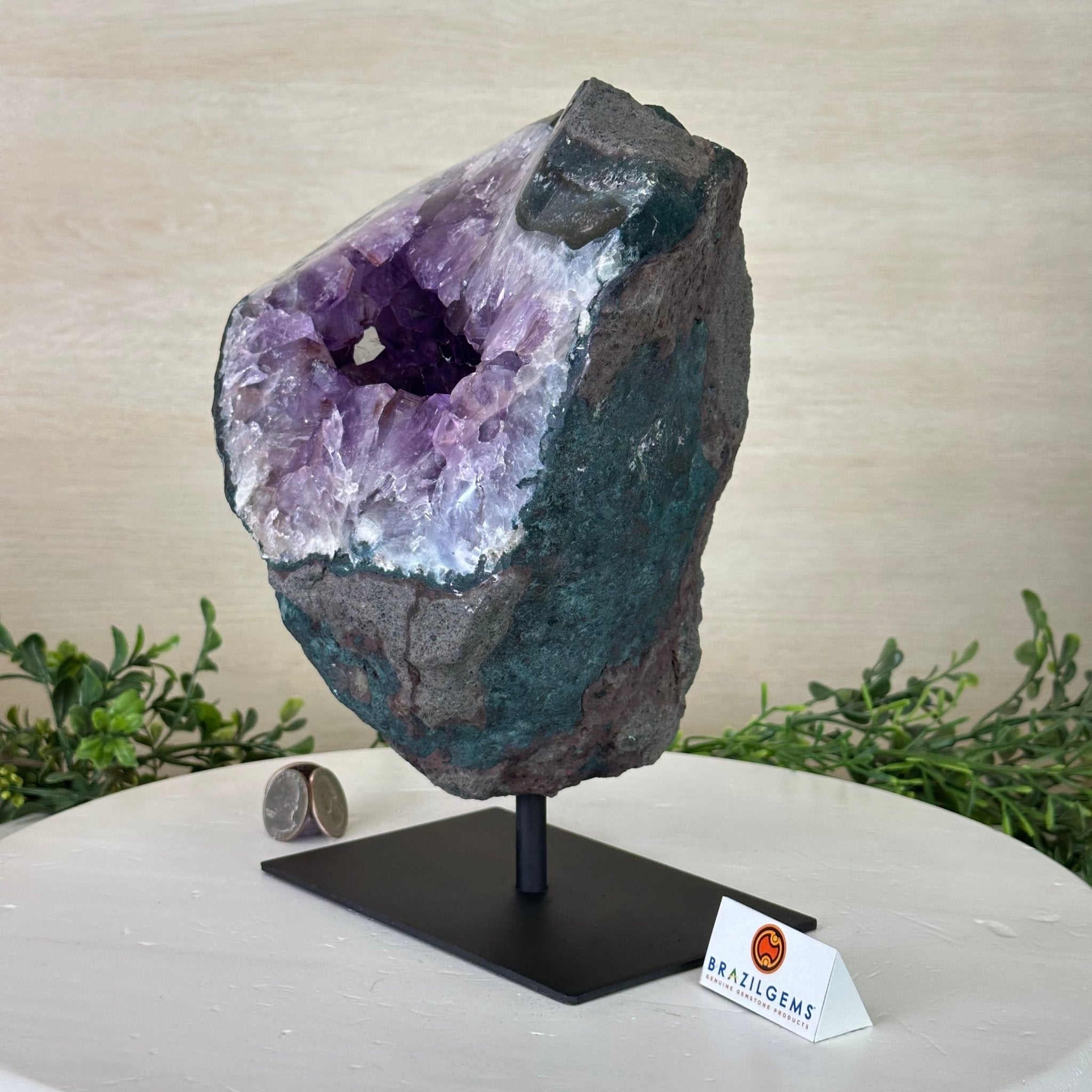 Amethyst Cluster on a Metal Base, 12.3 lbs & 9.5" Tall #5491D - 0237 - Brazil GemsBrazil GemsAmethyst Cluster on a Metal Base, 12.3 lbs & 9.5" Tall #5491D - 0237Clusters on Fixed Bases5491D - 0237