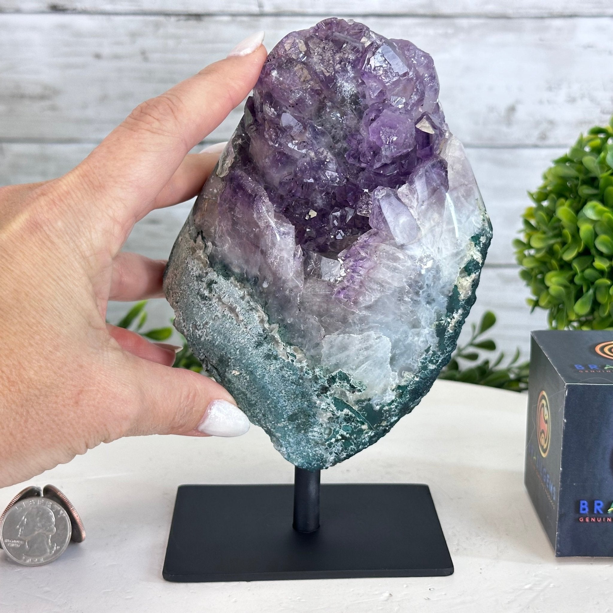 Amethyst Cluster on a Metal Base, 3.1 lbs & 7.4" Tall #5491-0167 - Brazil GemsBrazil GemsAmethyst Cluster on a Metal Base, 3.1 lbs & 7.4" Tall #5491-0167Clusters on Fixed Bases5491-0167