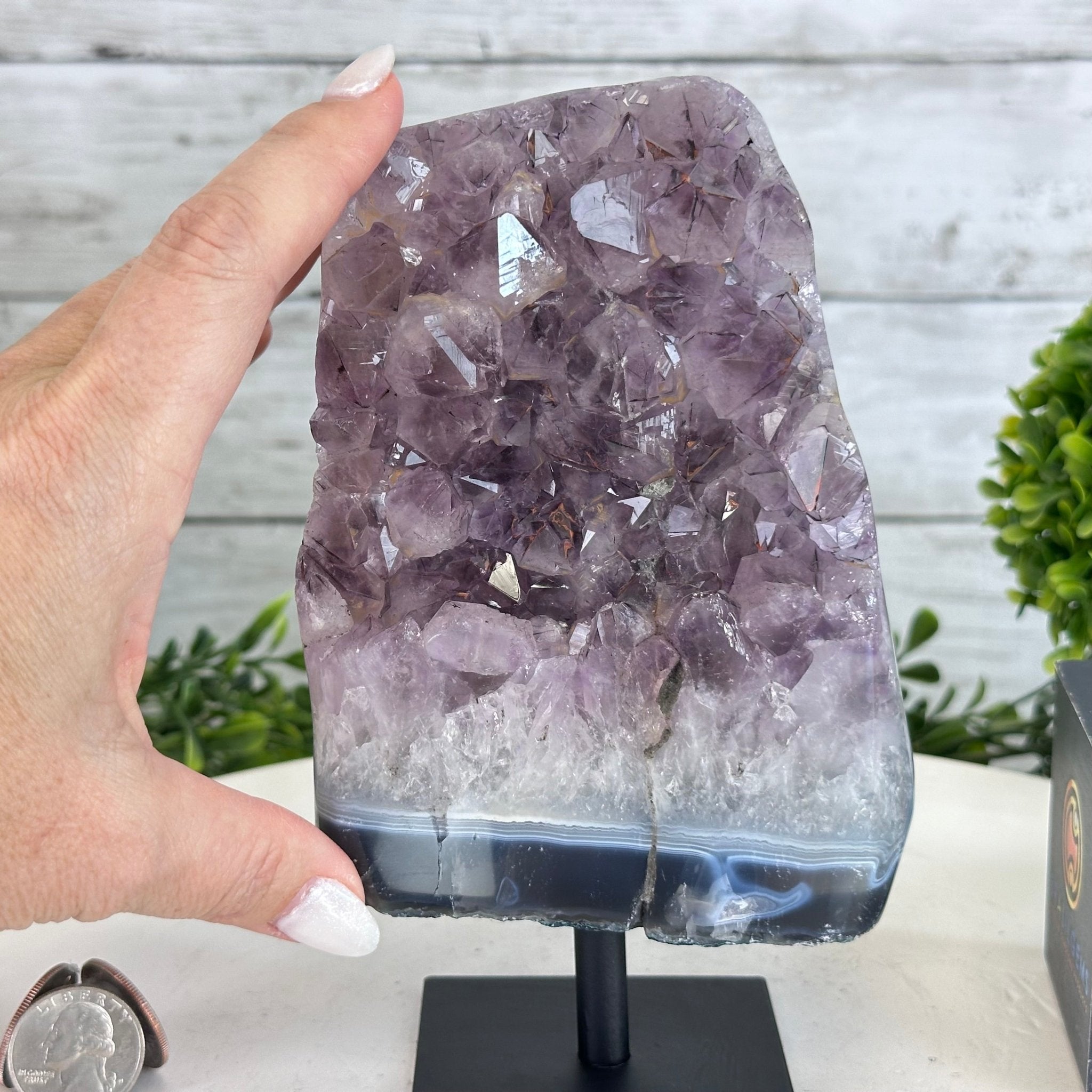 Amethyst Cluster on a Metal Base, 3.6 lbs & 7.4" Tall #5491-0172 - Brazil GemsBrazil GemsAmethyst Cluster on a Metal Base, 3.6 lbs & 7.4" Tall #5491-0172Clusters on Fixed Bases5491-0172