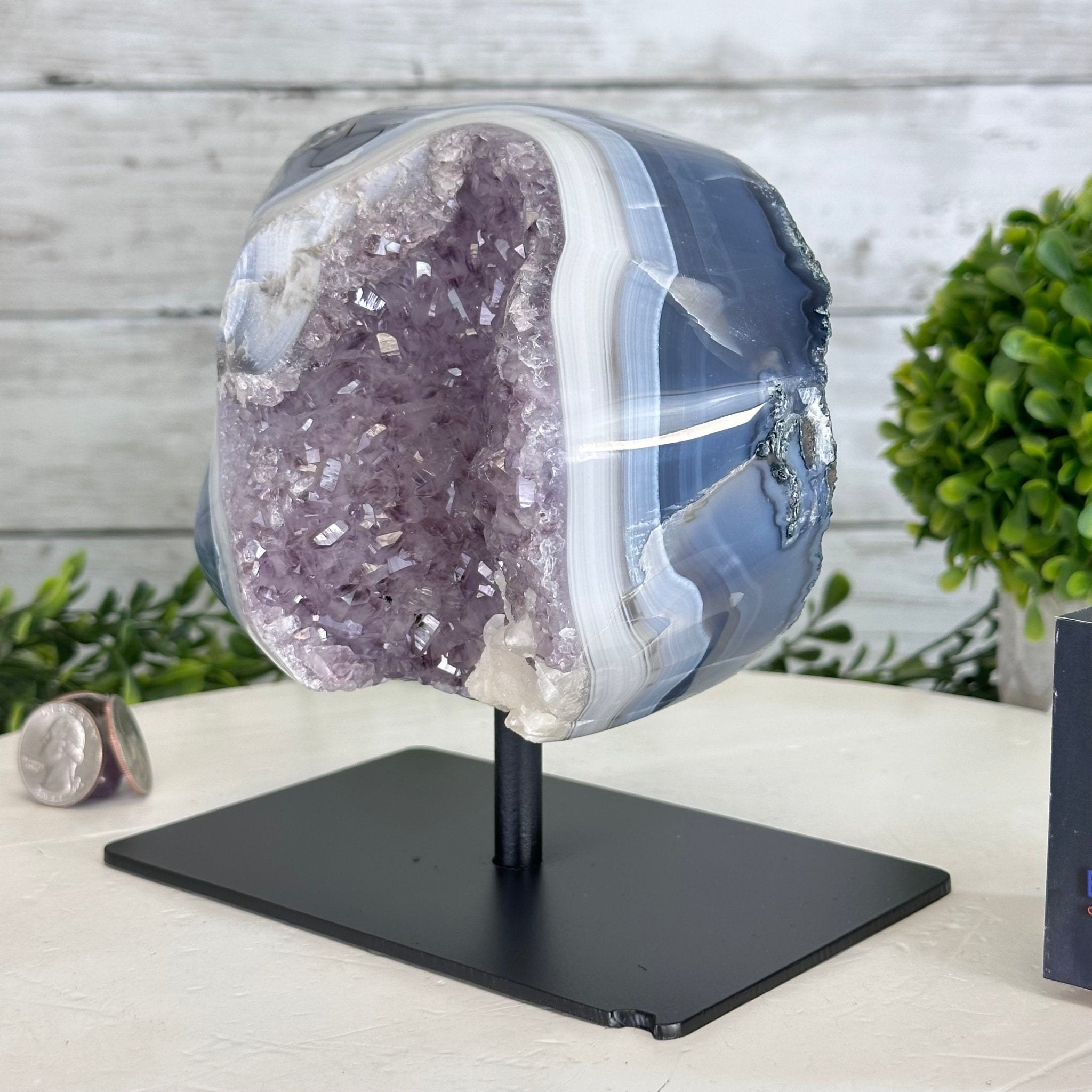 Amethyst Cluster on a Metal Base, 4.3 lbs & 6.1" Tall #5491-0174 - Brazil GemsBrazil GemsAmethyst Cluster on a Metal Base, 4.3 lbs & 6.1" Tall #5491-0174Clusters on Fixed Bases5491-0174
