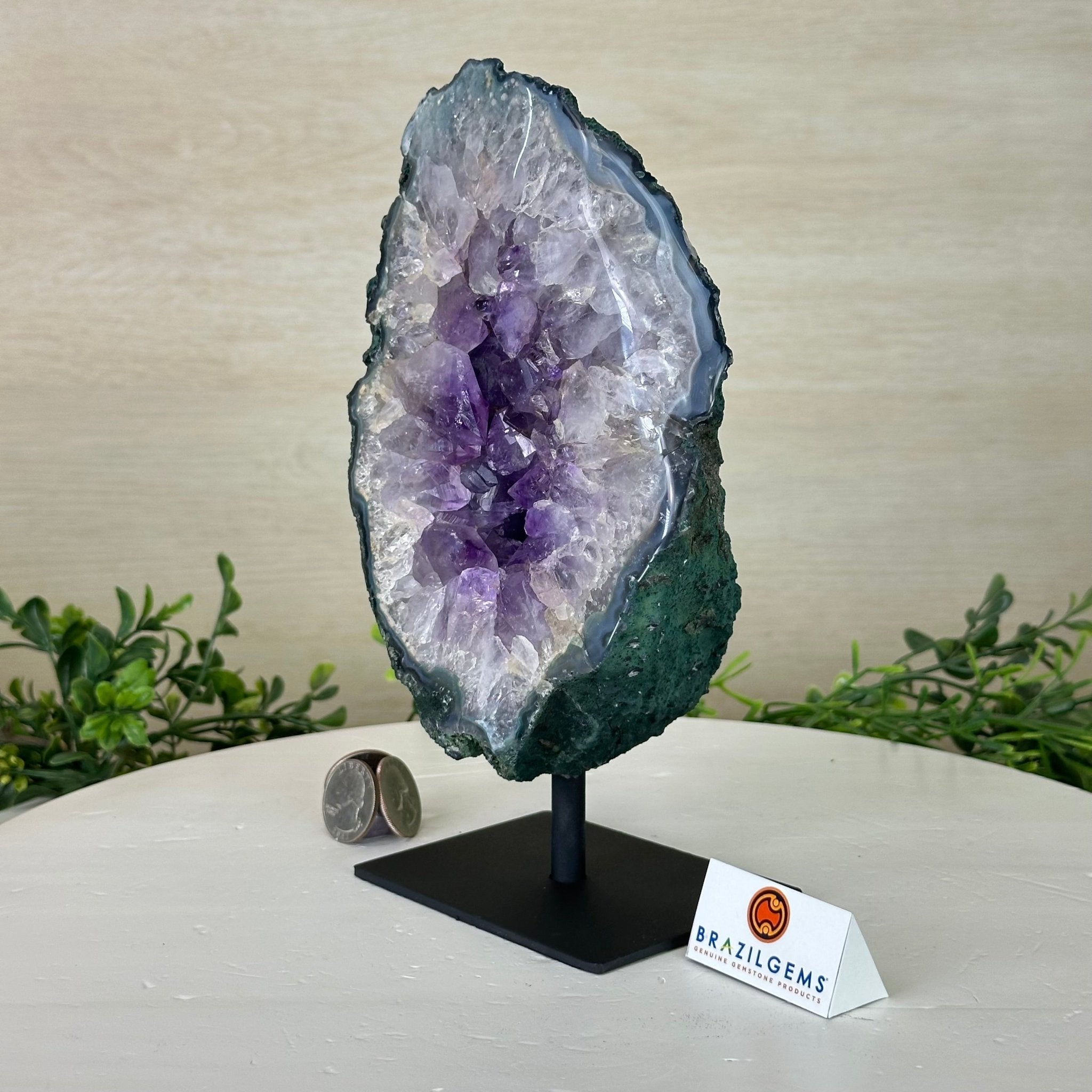 Amethyst Cluster on a Metal Base, 4.6 lbs & 8.6" Tall #5491 - 0209 - Brazil GemsBrazil GemsAmethyst Cluster on a Metal Base, 4.6 lbs & 8.6" Tall #5491 - 0209Clusters on Fixed Bases5491 - 0209