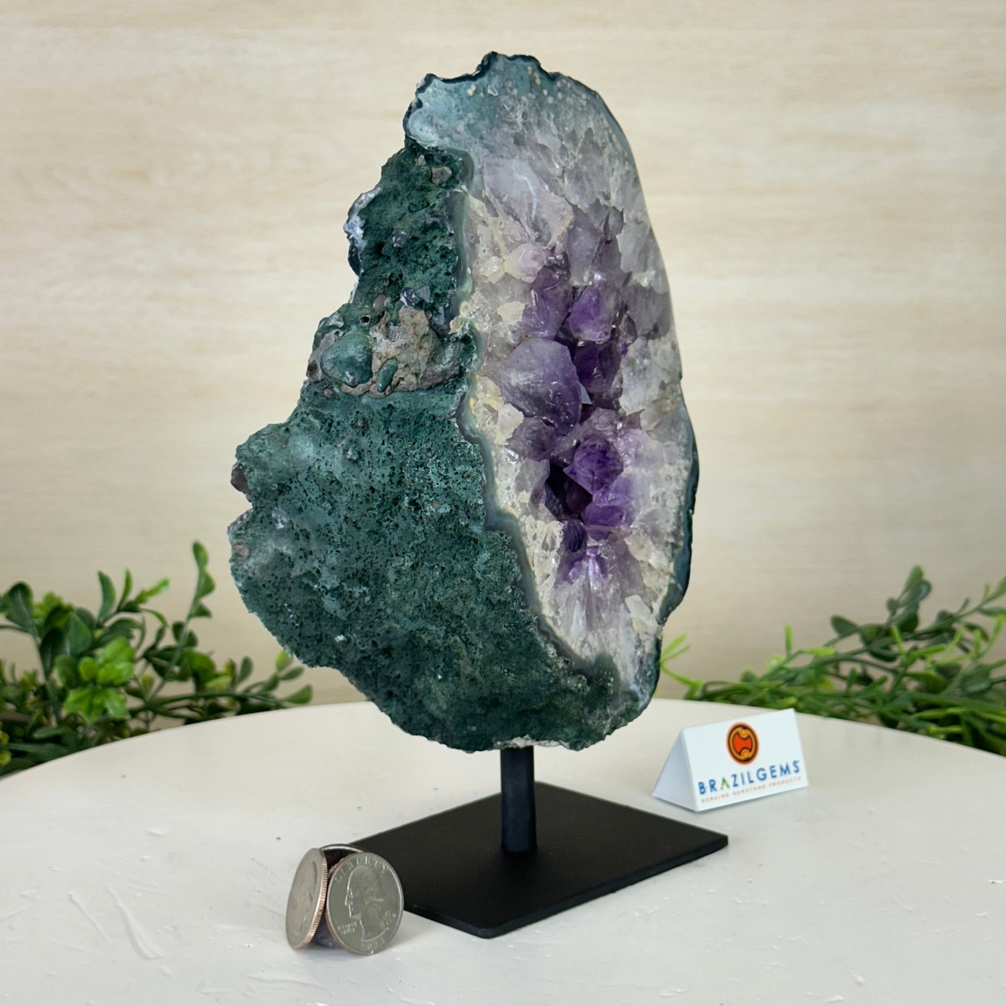 Amethyst Cluster on a Metal Base, 4.6 lbs & 8.6" Tall #5491 - 0209 - Brazil GemsBrazil GemsAmethyst Cluster on a Metal Base, 4.6 lbs & 8.6" Tall #5491 - 0209Clusters on Fixed Bases5491 - 0209