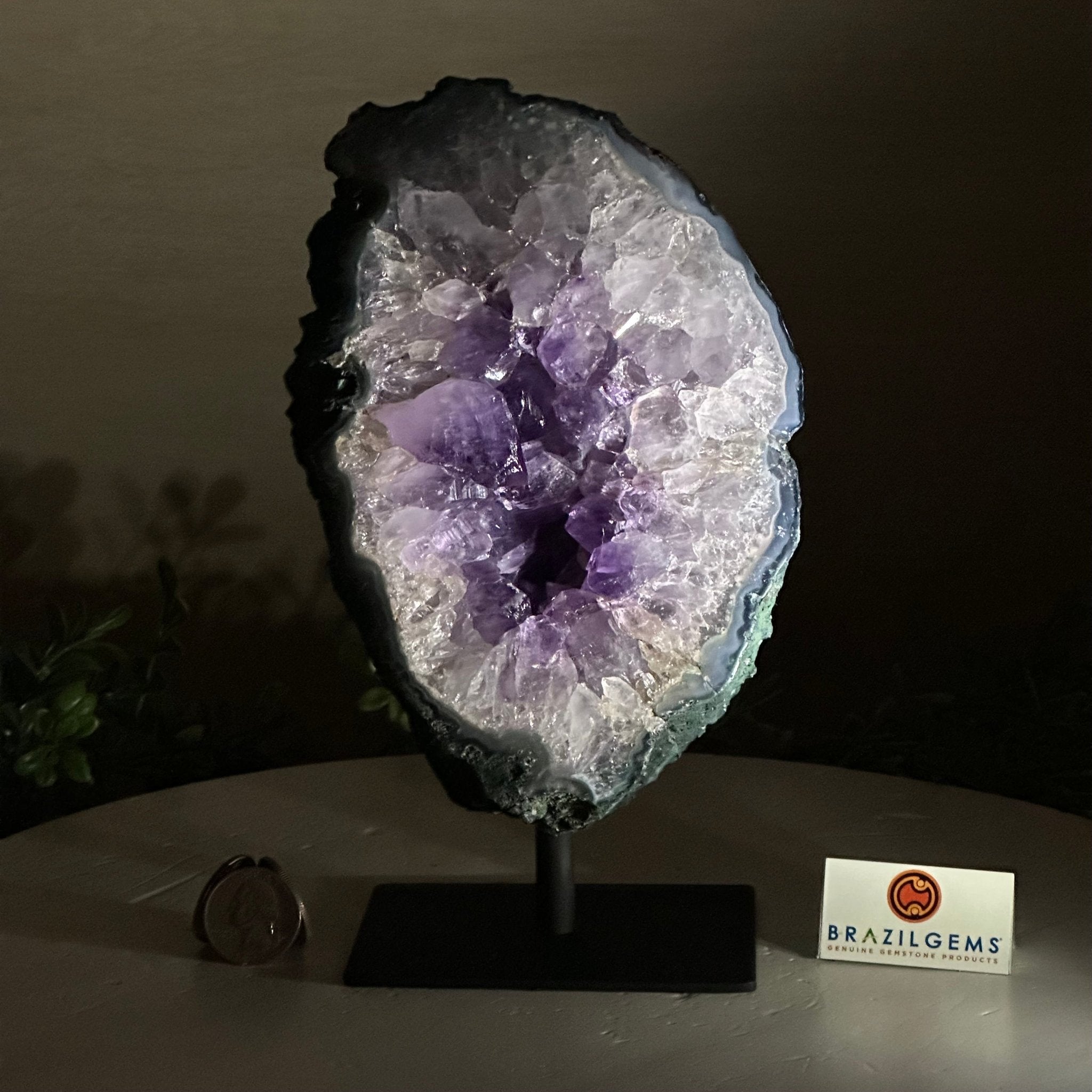 Amethyst Cluster on a Metal Base, 4.6 lbs & 8.6" Tall #5491 - 0209 - Brazil GemsBrazil GemsAmethyst Cluster on a Metal Base, 4.6 lbs & 8.6" Tall #5491 - 0209Clusters on Fixed Bases5491 - 0209