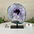 Amethyst Cluster on a Metal Base, 4.9 lbs & 7.3" Tall #5491 - 0210 - Brazil GemsBrazil GemsAmethyst Cluster on a Metal Base, 4.9 lbs & 7.3" Tall #5491 - 0210Clusters on Fixed Bases5491 - 0210