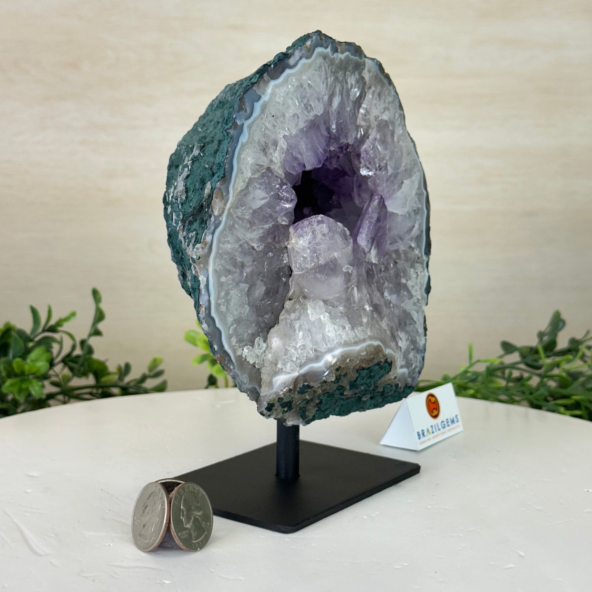 Amethyst Cluster on a Metal Base, 4.9 lbs & 7.3" Tall #5491 - 0210 - Brazil GemsBrazil GemsAmethyst Cluster on a Metal Base, 4.9 lbs & 7.3" Tall #5491 - 0210Clusters on Fixed Bases5491 - 0210