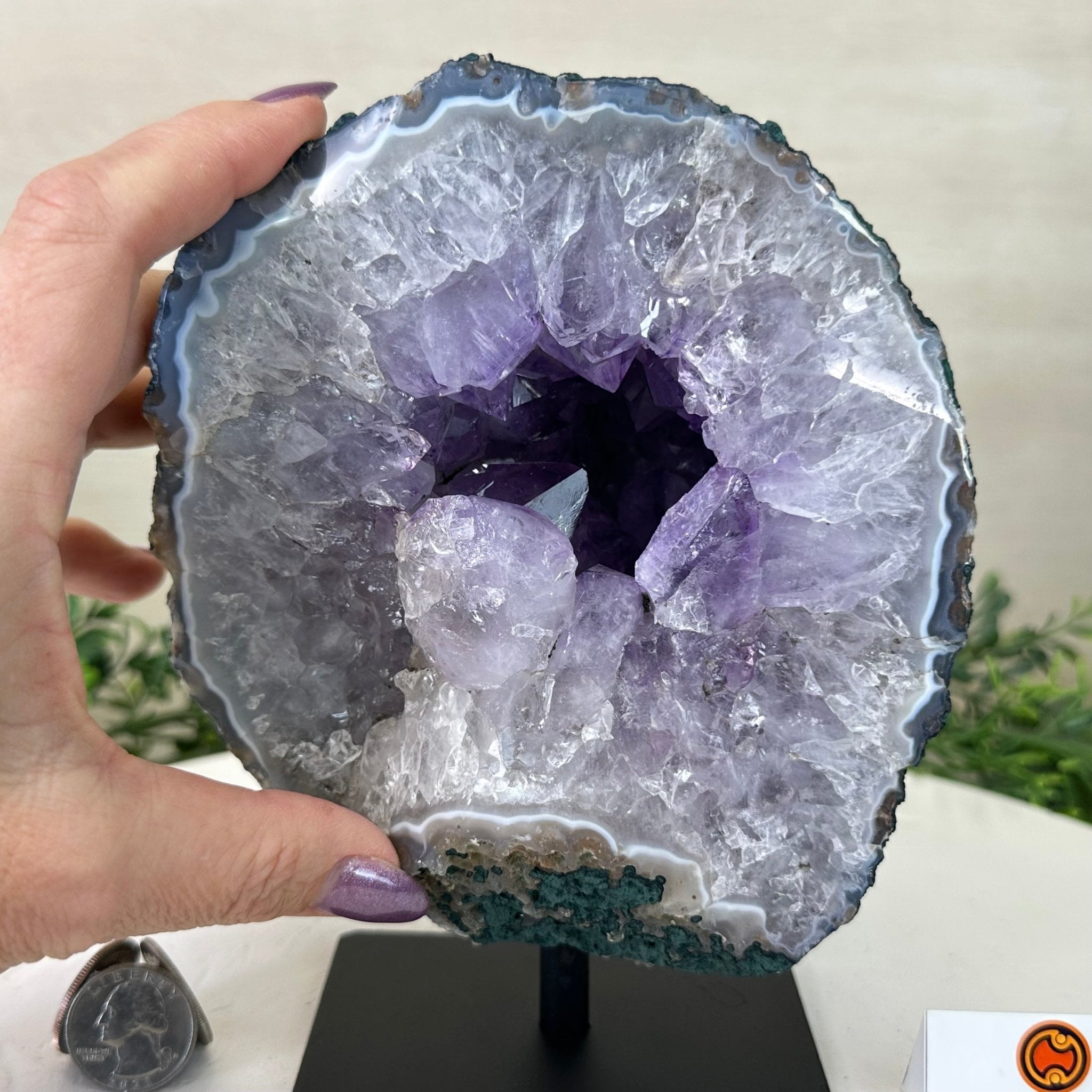 Amethyst Cluster on a Metal Base, 4.9 lbs & 7.3" Tall #5491 - 0210 - Brazil GemsBrazil GemsAmethyst Cluster on a Metal Base, 4.9 lbs & 7.3" Tall #5491 - 0210Clusters on Fixed Bases5491 - 0210