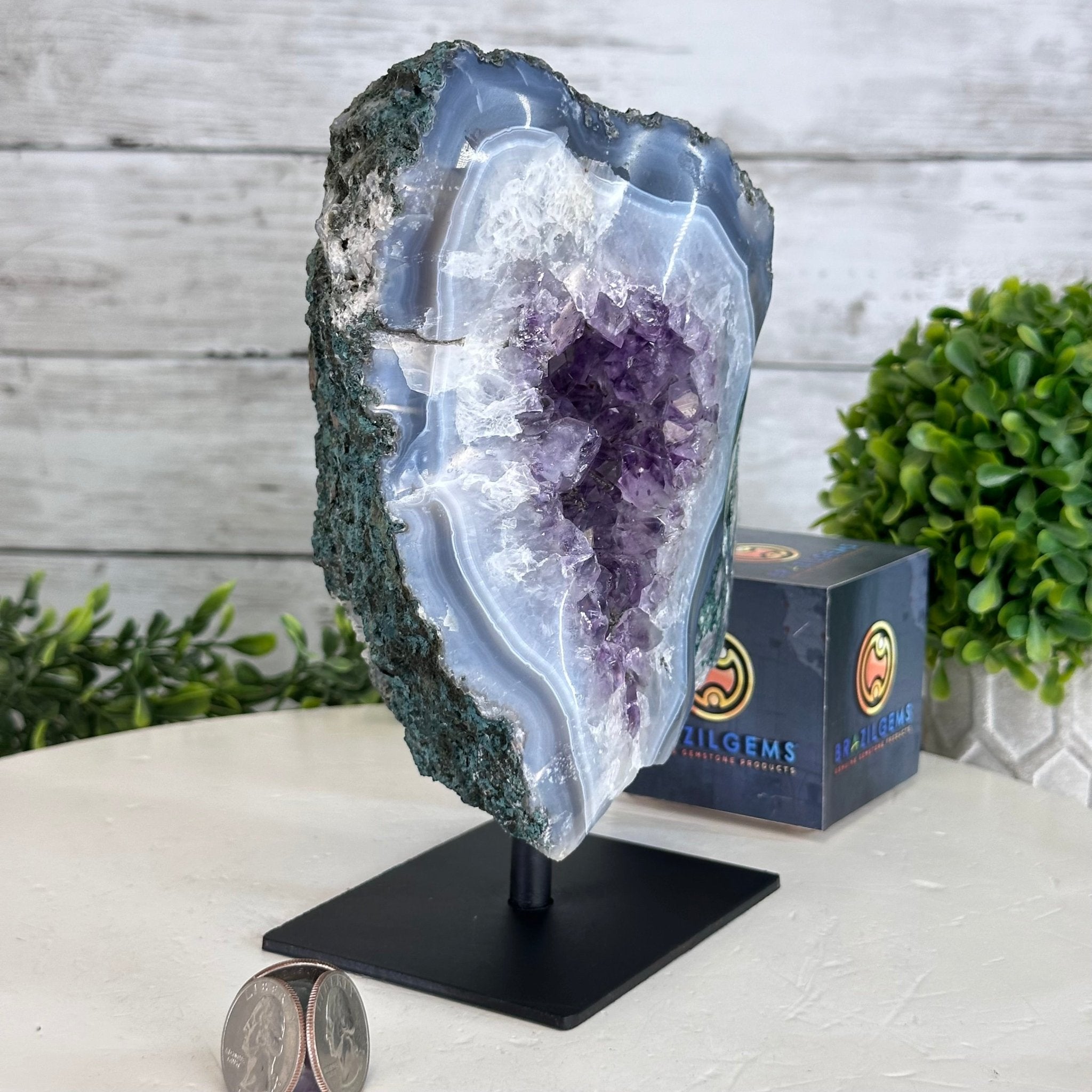 Amethyst Cluster on a Metal Base, 4.9 lbs & 7.7" Tall #5491-0178 - Brazil GemsBrazil GemsAmethyst Cluster on a Metal Base, 4.9 lbs & 7.7" Tall #5491-0178Clusters on Fixed Bases5491-0178