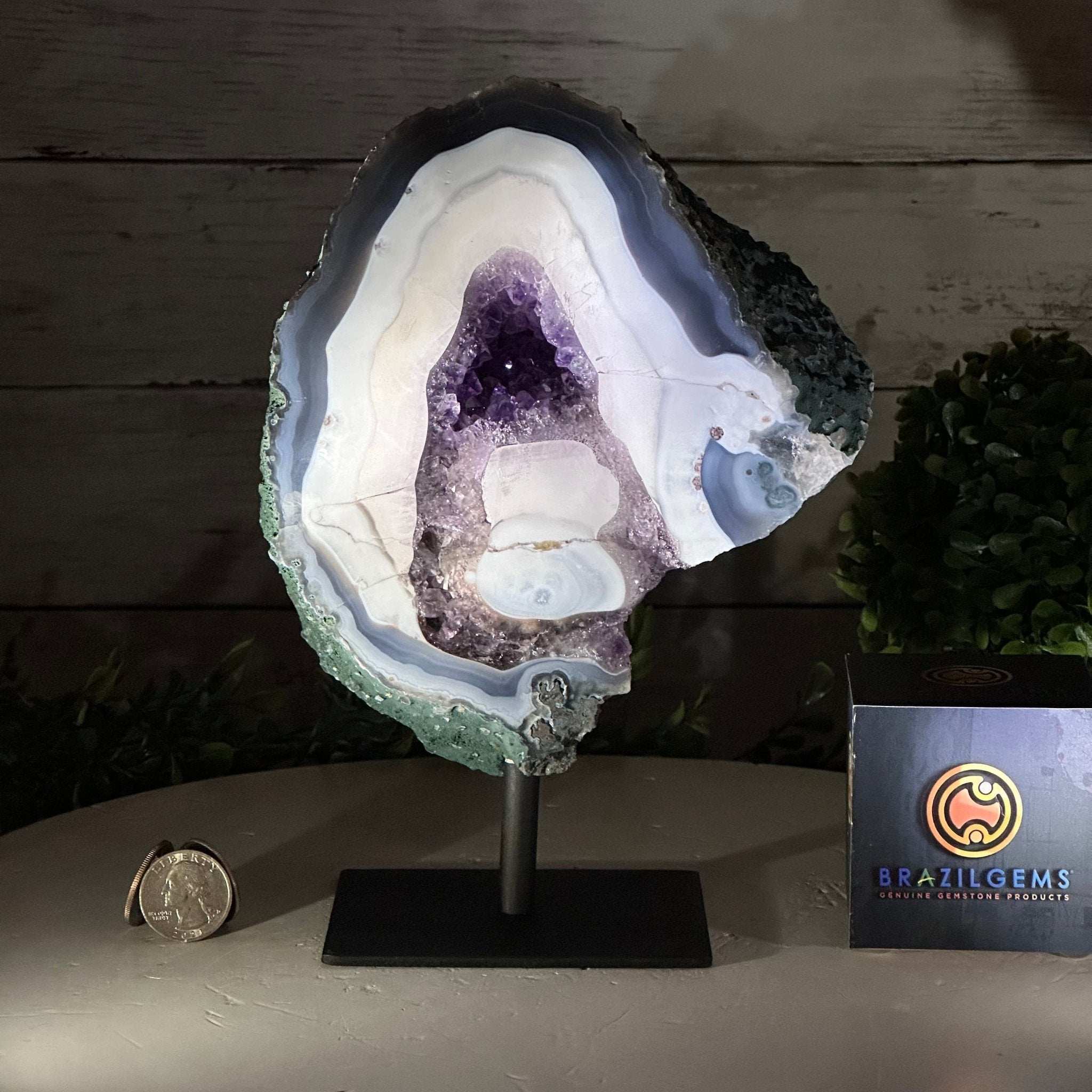 Amethyst Cluster on a Metal Base, 5.2 lbs & 8.8" Tall #5491-0180 - Brazil GemsBrazil GemsAmethyst Cluster on a Metal Base, 5.2 lbs & 8.8" Tall #5491-0180Clusters on Fixed Bases5491-0180
