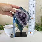 Amethyst Cluster on a Metal Base, 5.7 lbs & 9.4" Tall #5491 - 0224 - Brazil GemsBrazil GemsAmethyst Cluster on a Metal Base, 5.7 lbs & 9.4" Tall #5491 - 0224Clusters on Fixed Bases5491 - 0224